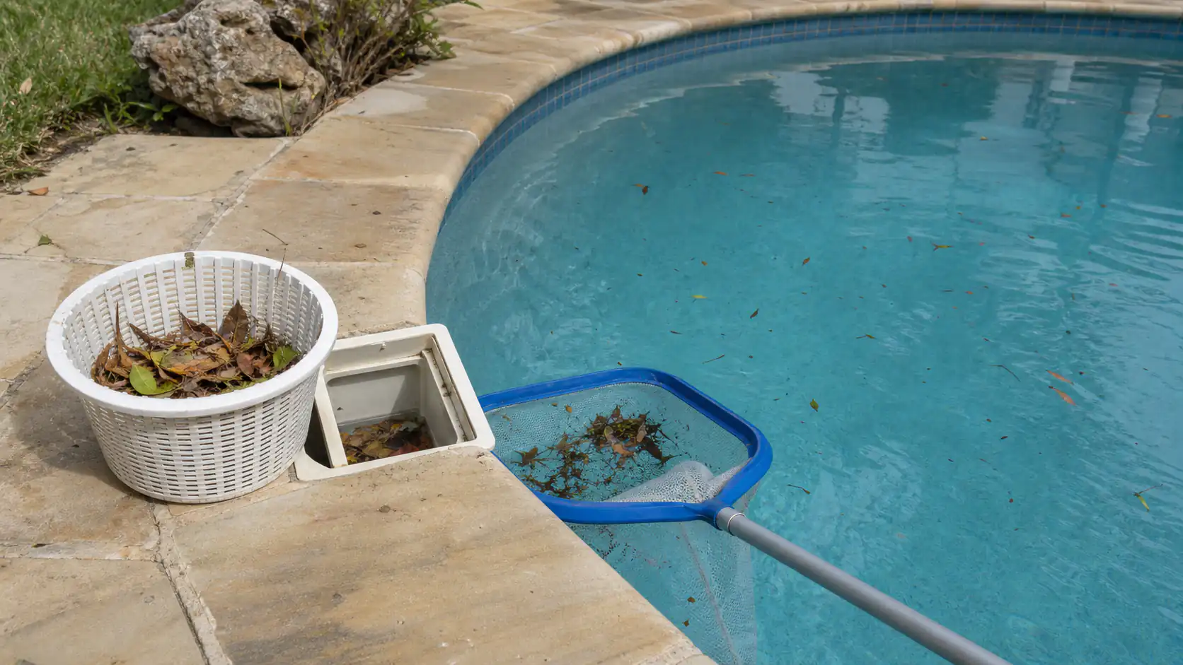 Leaves and debris removed during regular pool cleaning in Victoria